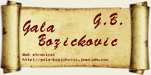Gala Božičković vizit kartica